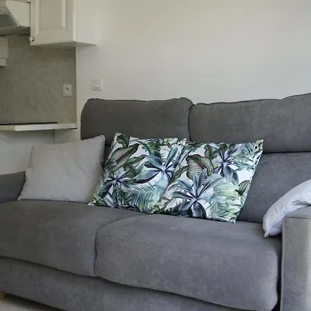 Dans Marina Avec Piscine * 생시프리앙